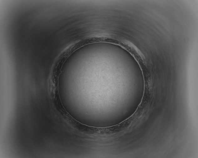 X0000102361064200808011448