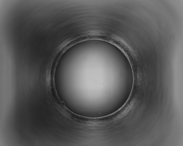X0000102361065200808011448