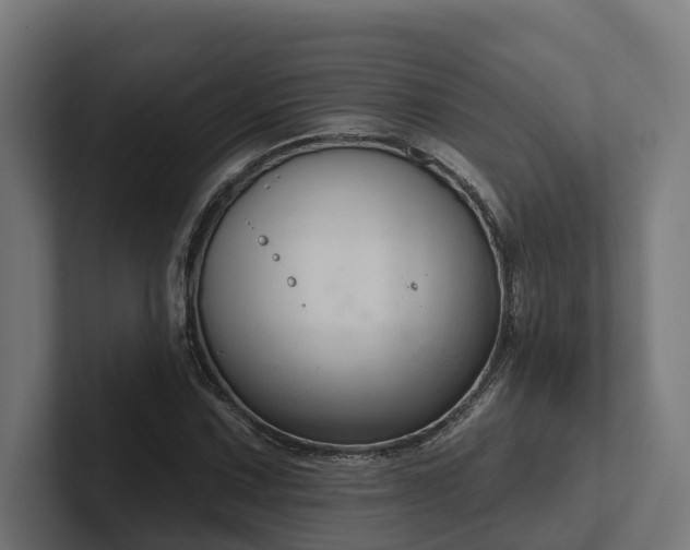 X0000102361067200808011448