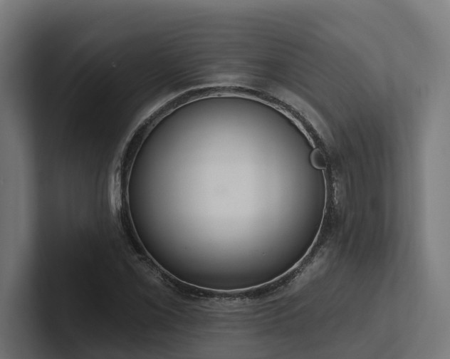 X0000102361069200808011448
