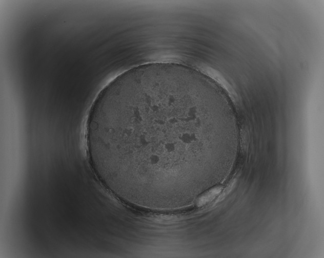 X0000102361071200808011448