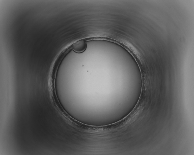 X0000102361072200808011448