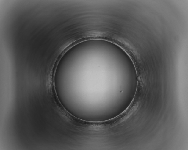 X0000102361073200808011447