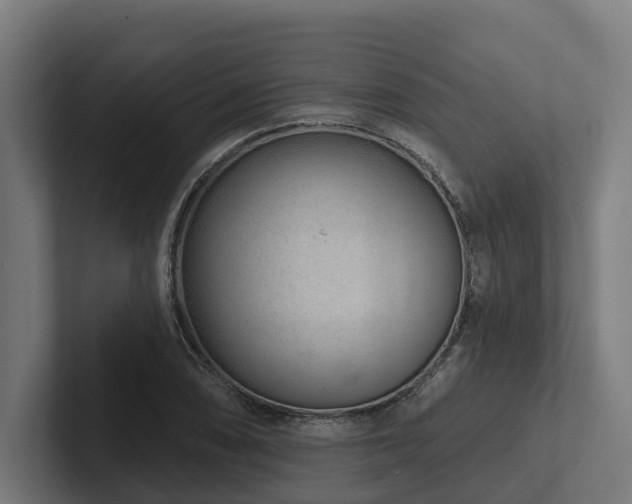 X0000102361074200808011447