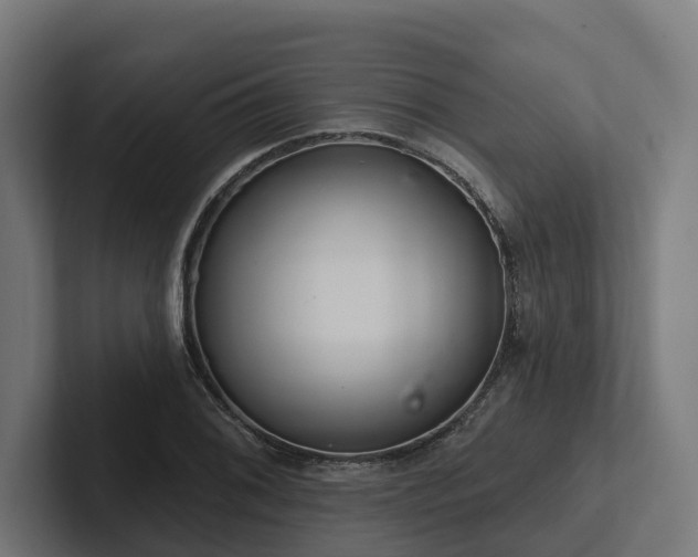 X0000102361076200808011447