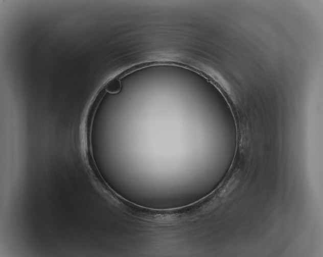 X0000102361080200808011447