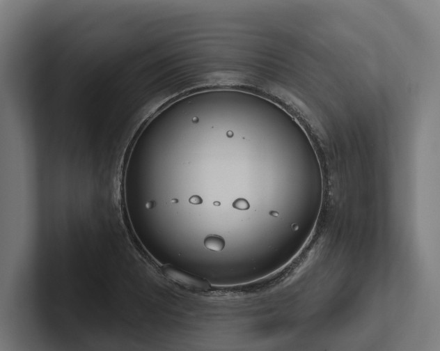 X0000102361081200808011447