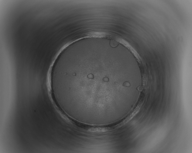 X0000102361083200808011447