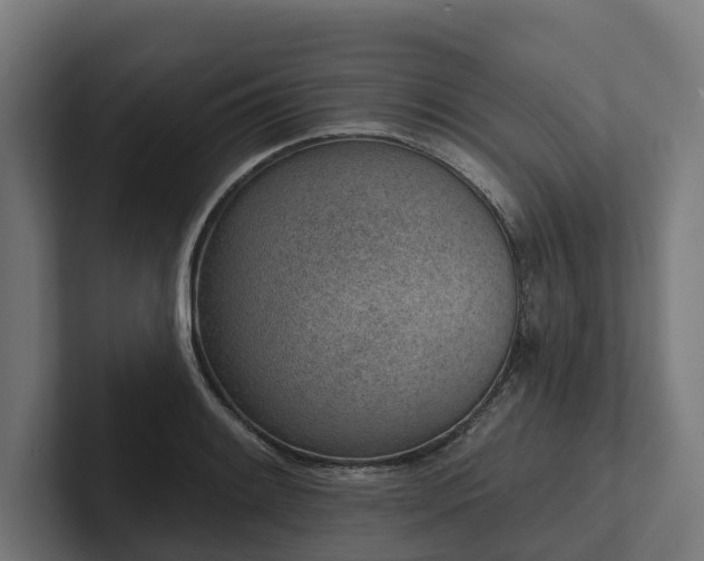 X0000102361084200808011447