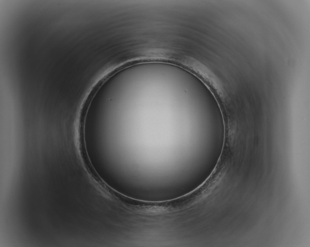 X0000102361085200808011447