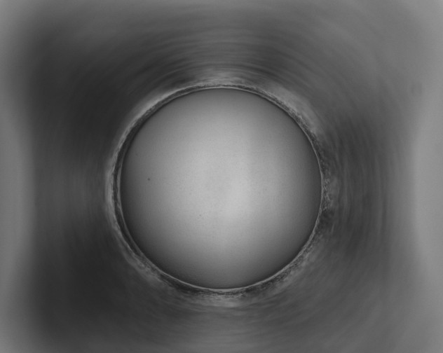 X0000102361086200808011447