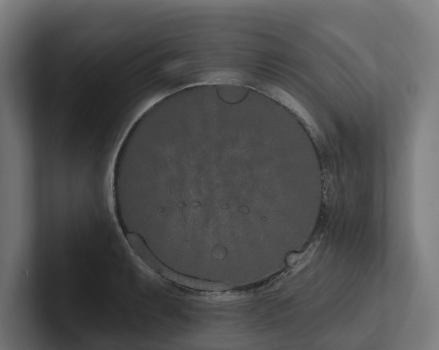 X0000102361087200808011447