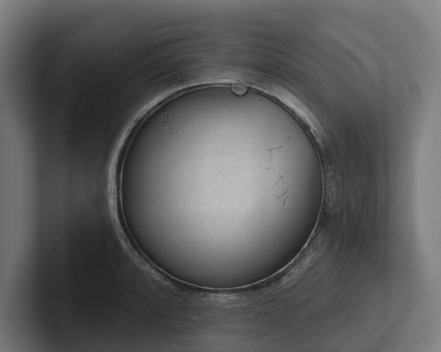 X0000102361088200808011447