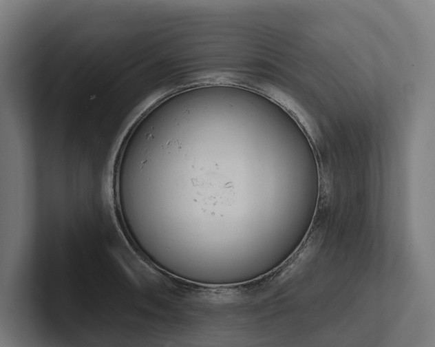 X0000102361090200808011447