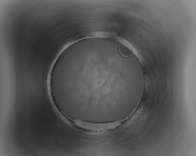 X0000102361091200808011447