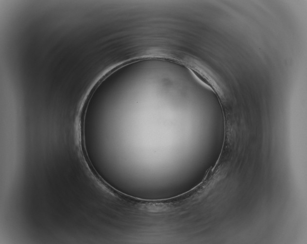 X0000102361092200808011447