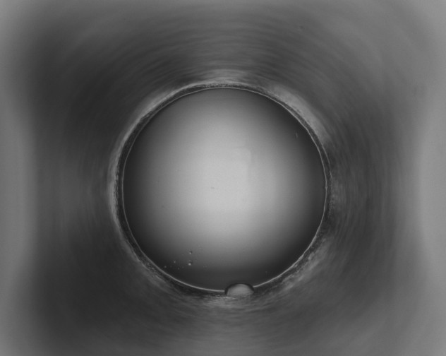 X0000102361093200808011447