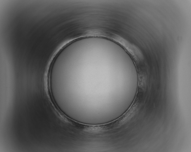 X0000102361094200808011447
