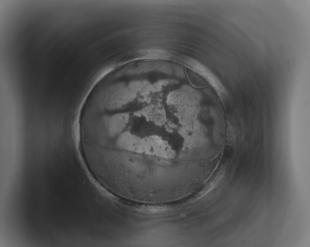 X0000102361095200808011447