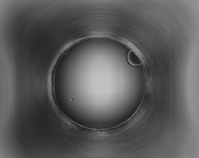 X0000102361096200808011447