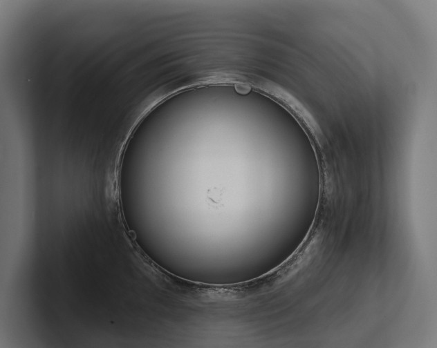 X0000102361097200808011447
