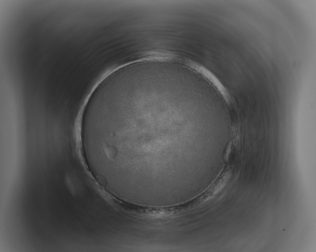 X0000102361099200808011447