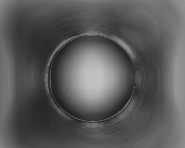 X0000102361100200808011447