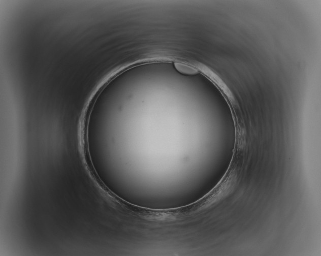 X0000102361101200808011447