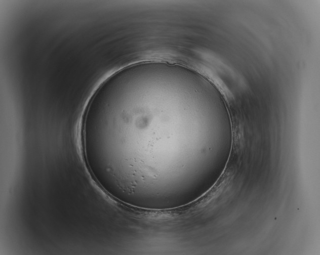 X0000102361103200808011447