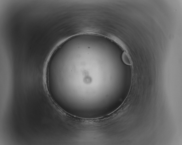 X0000102361104200808011447