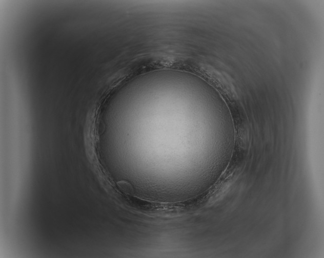 X0000102361105200808011446