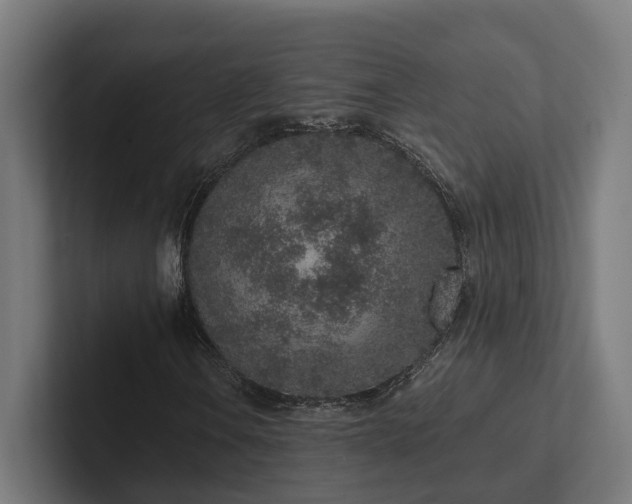 X0000102361106200808011446