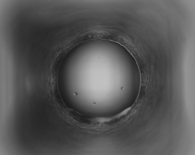 X0000102361109200808011447