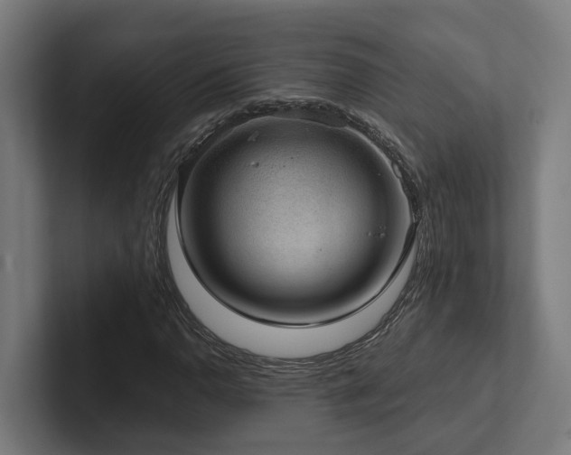 X0000102361110200808011447