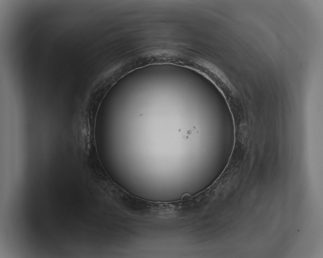 X0000102361111200808011447