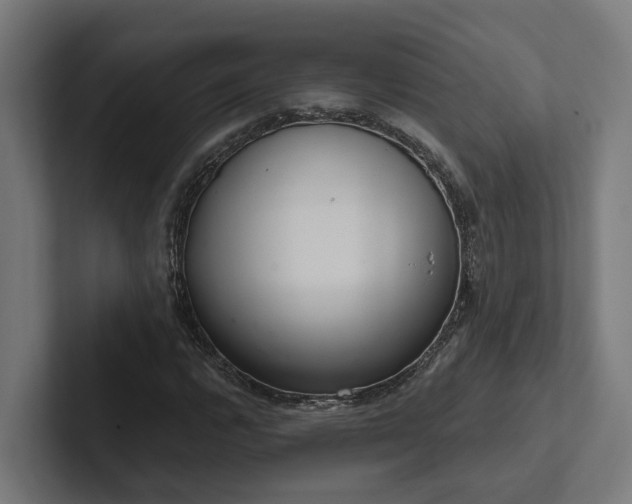 X0000102361112200808011447