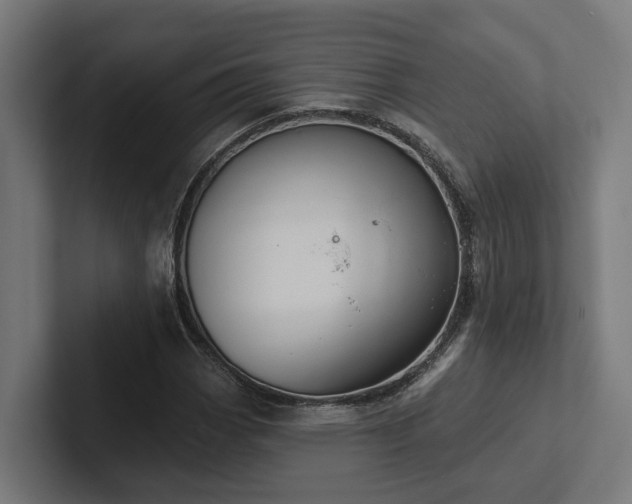 X0000102361113200808011447