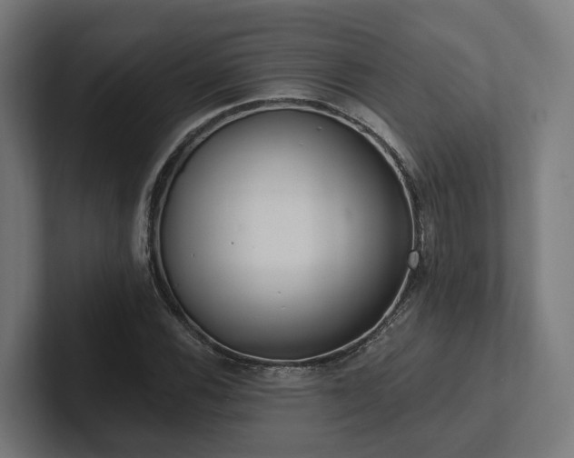 X0000102361116200808011447
