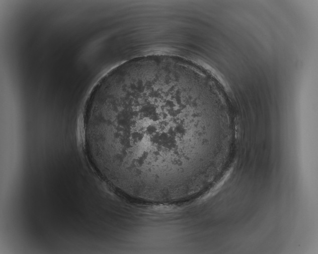 X0000102361117200808011447