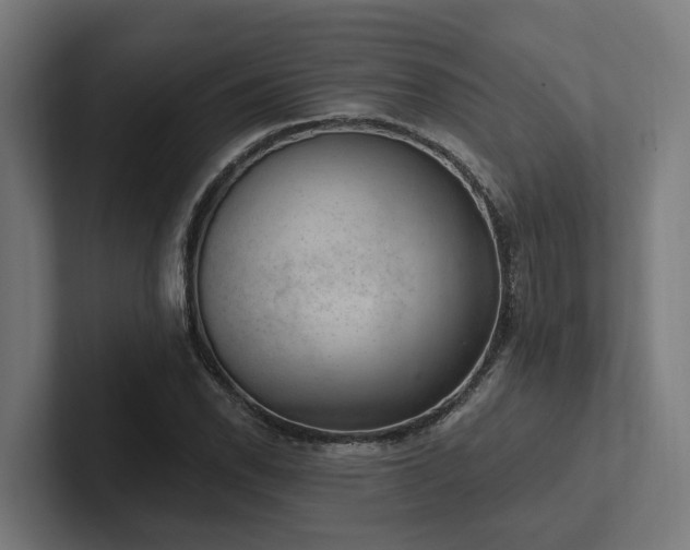 X0000102361118200808011447