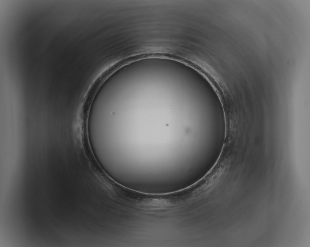 X0000102361119200808011447