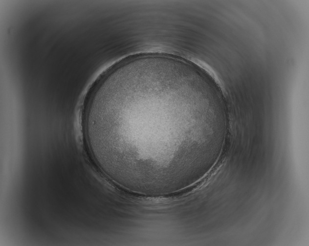X0000102361120200808011447