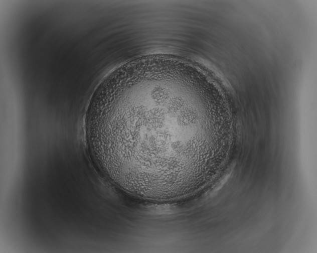 X0000102361121200808011447