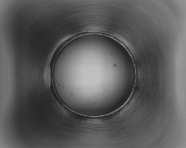 X0000102361123200808011447
