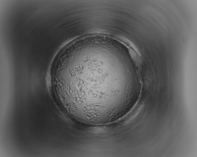 X0000102361125200808011447