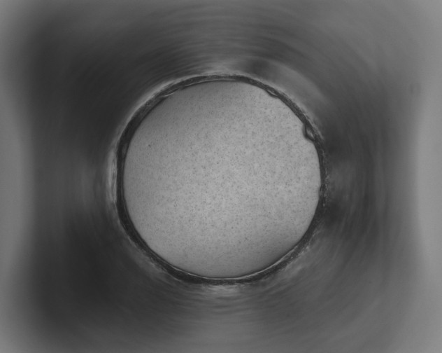 X0000102361126200808011447