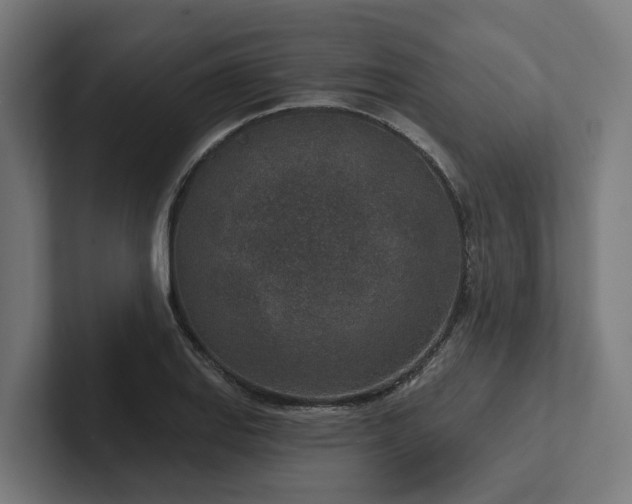 X0000102361127200808011447