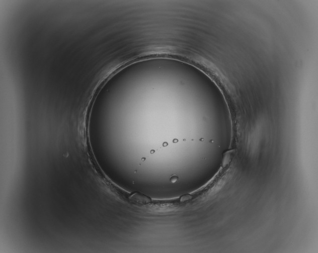X0000102361129200808011447