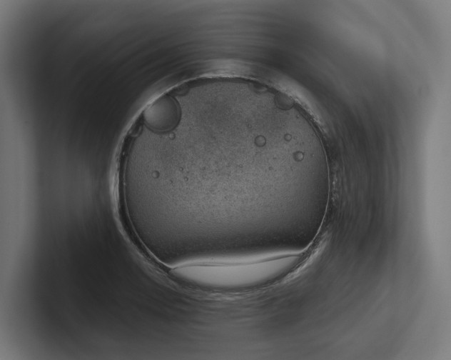 X0000102361130200808011447