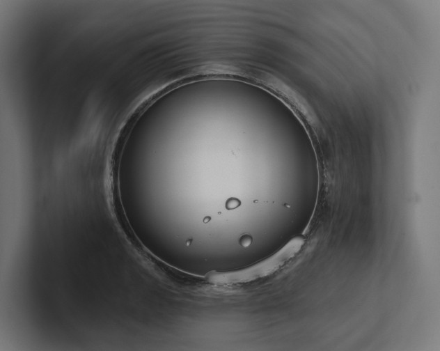 X0000102361133200808011447